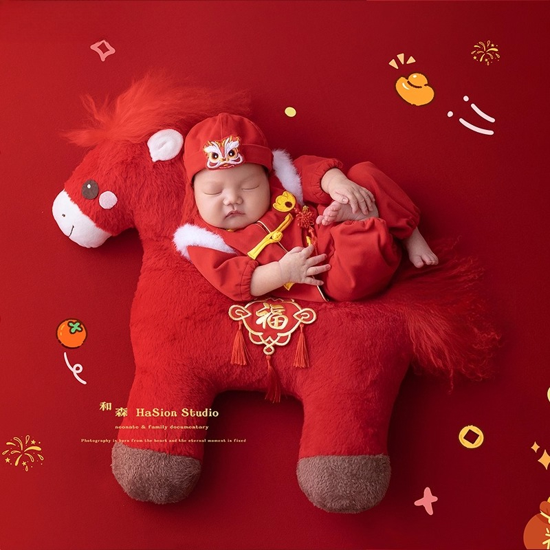 Yenidoğan Fotoğrafçılığı Akses - Photography Of The Year incelemesi ve fiyatı